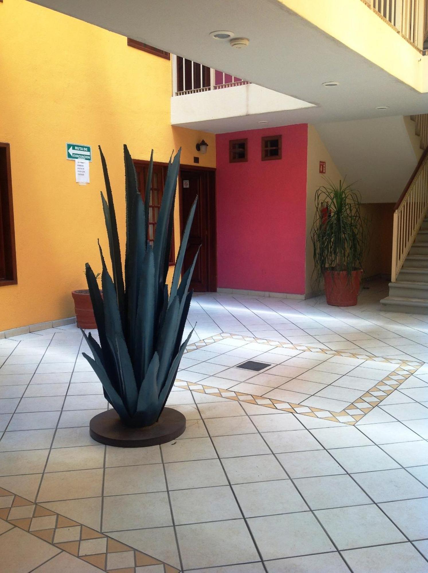 Plaza Jardin Hotel Tequila Buitenkant foto